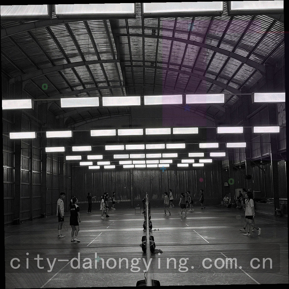 小屏幕界面上的索引条目与状态标签特写，画面中没有真实账号信息